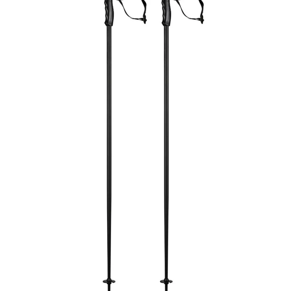 Head MULTI Performance skistokken black