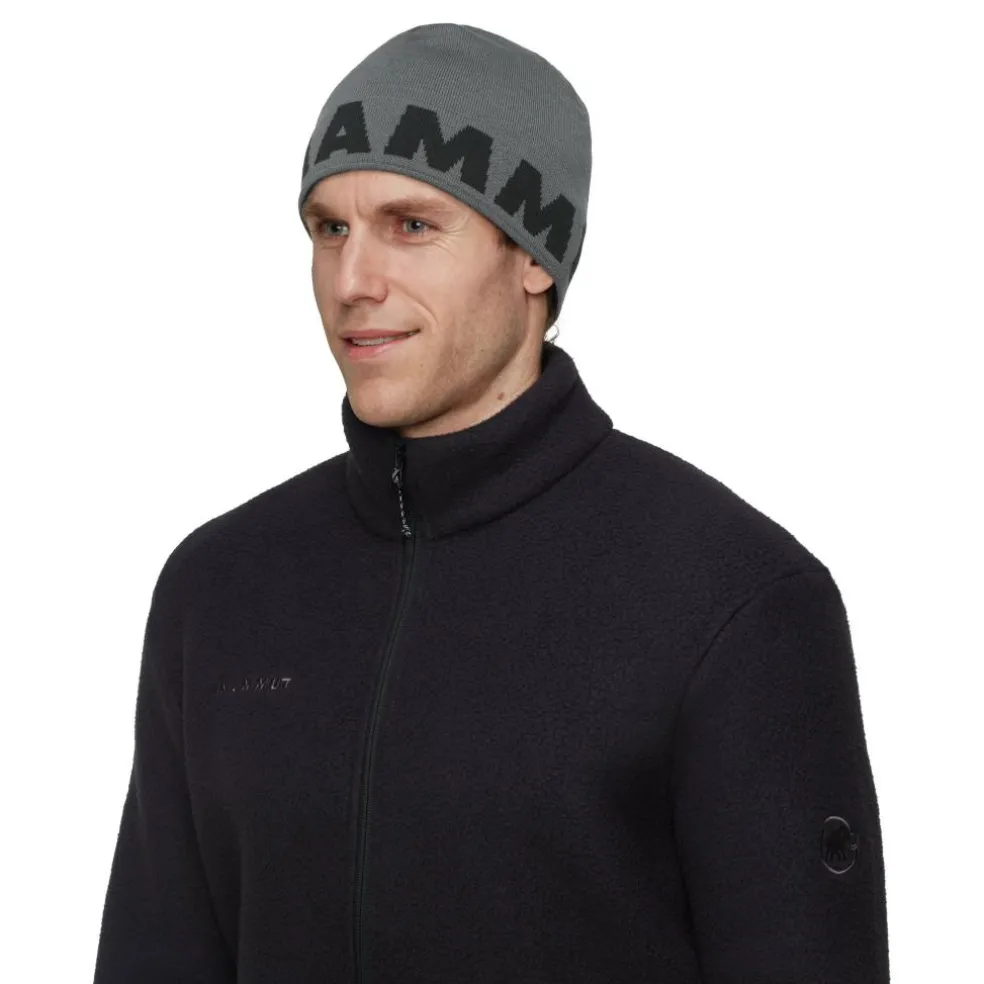Mammut Logo muts steel-black