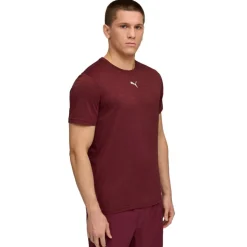 Puma TAD ESSENTIALS shirt heren ruby shimmer heather