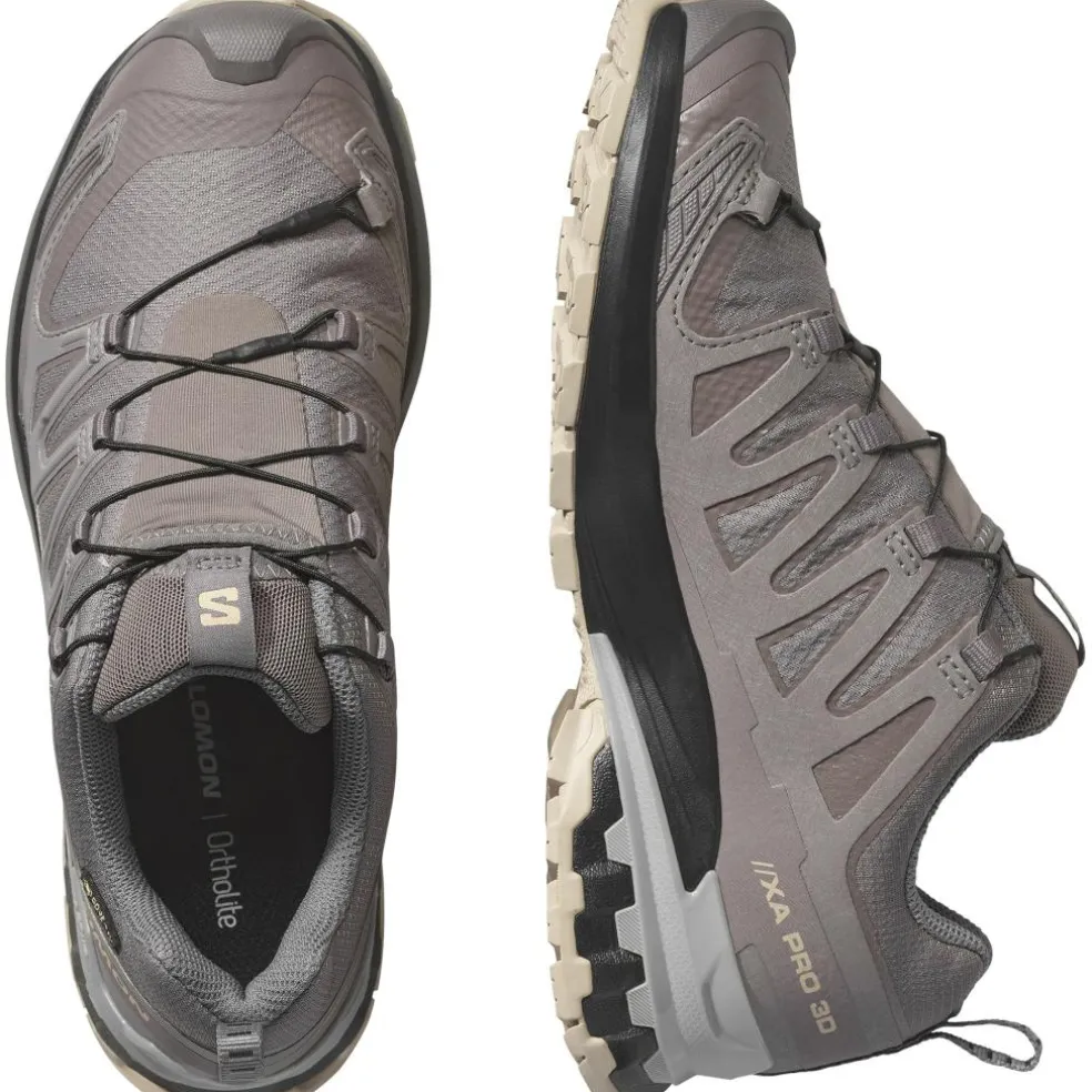 Salomon XA PRO 3D V9 GORE-TEX hardloopschoenen dames plum kitten black gull