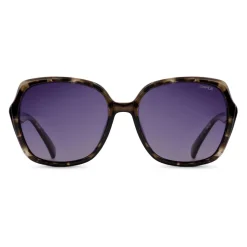 Sinner Montara zonnebril smoke black grey tortoise