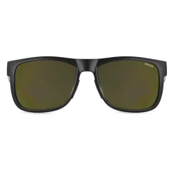 Sinner Totai zonnebril smoke gold matte black